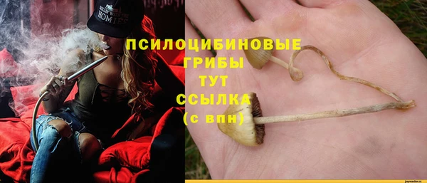 спайс Алексеевка