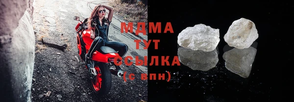 индика Алексин