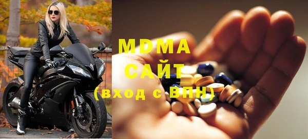 индика Алексин