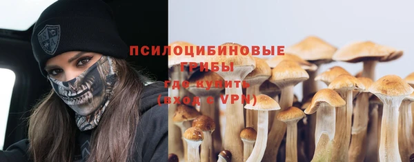 ешки Алзамай